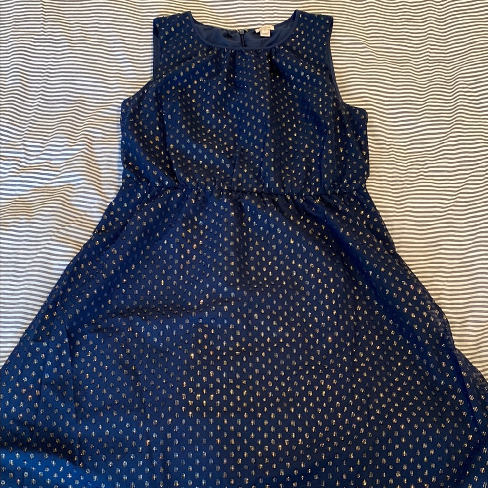 J.Crew Navy Blue Sleeveless Dress